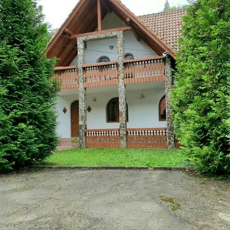 Vila Luca'S Cârțișoara Exterior photo