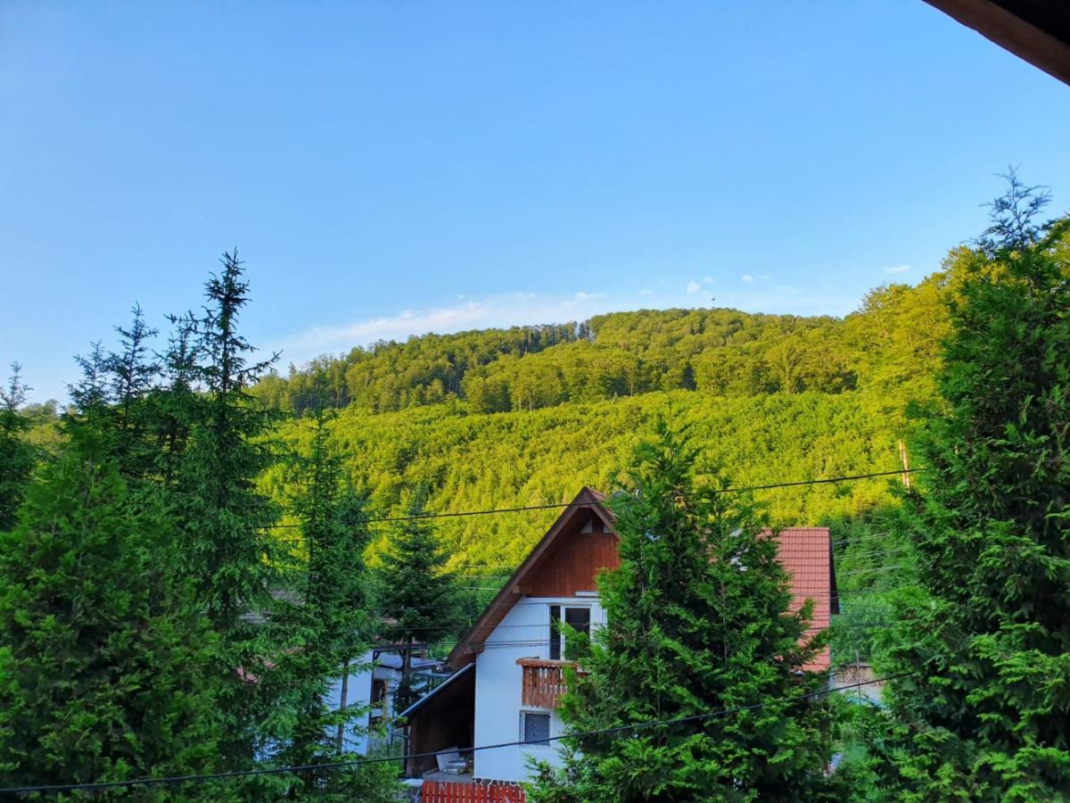 Vila Luca'S Cârțișoara Exterior photo