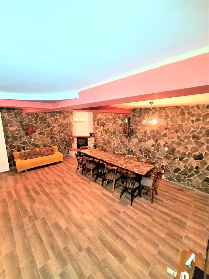 Vila Luca'S Cârțișoara Exterior photo