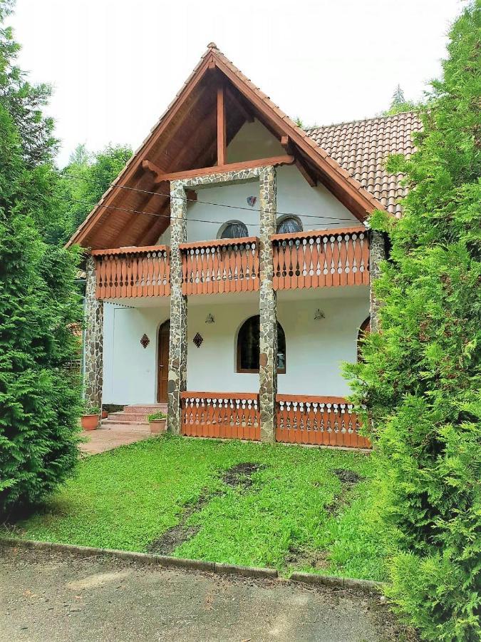 Vila Luca'S Cârțișoara Exterior photo