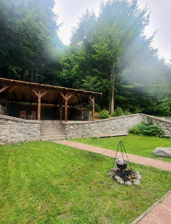 Vila Luca'S Cârțișoara Exterior photo
