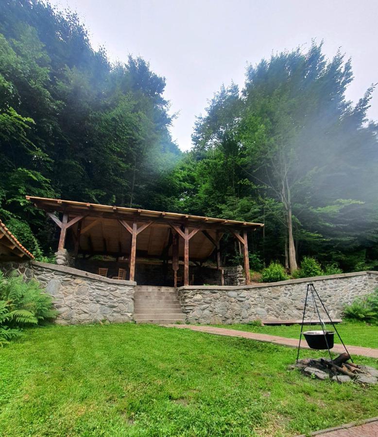Vila Luca'S Cârțișoara Exterior photo