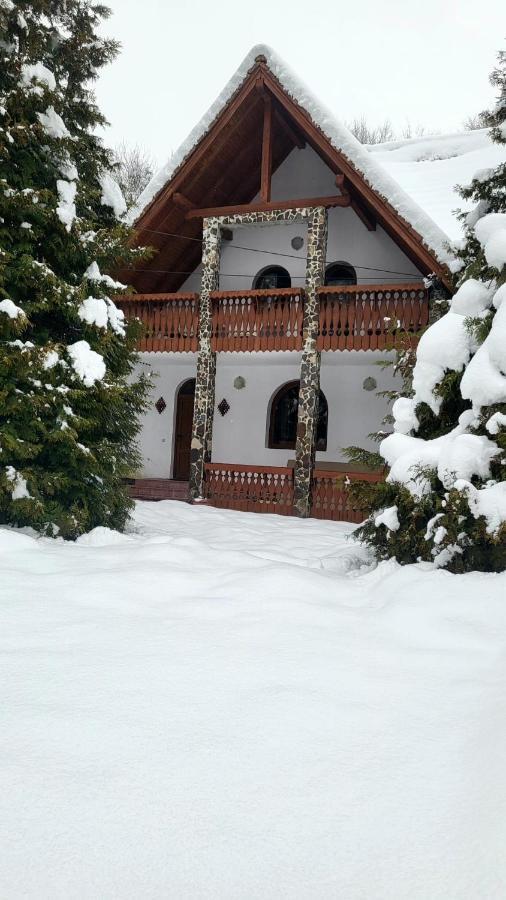 Vila Luca'S Cârțișoara Exterior photo