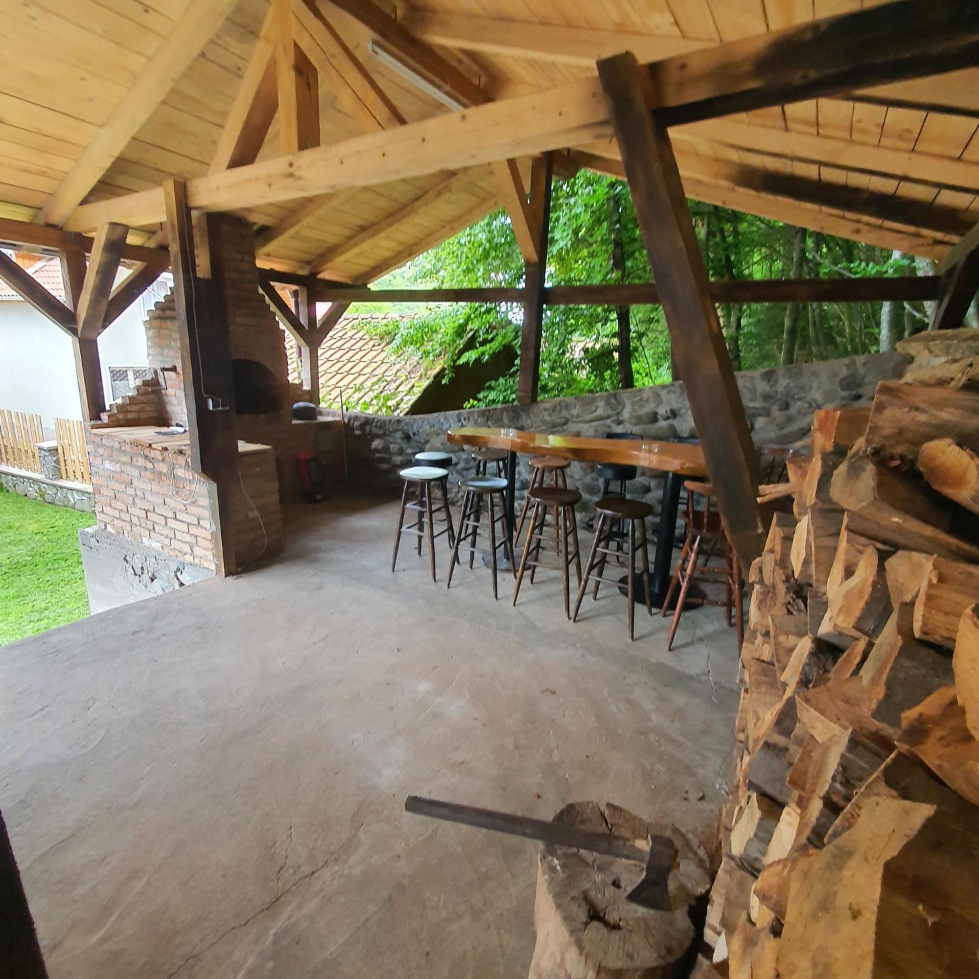 Vila Luca'S Cârțișoara Exterior photo
