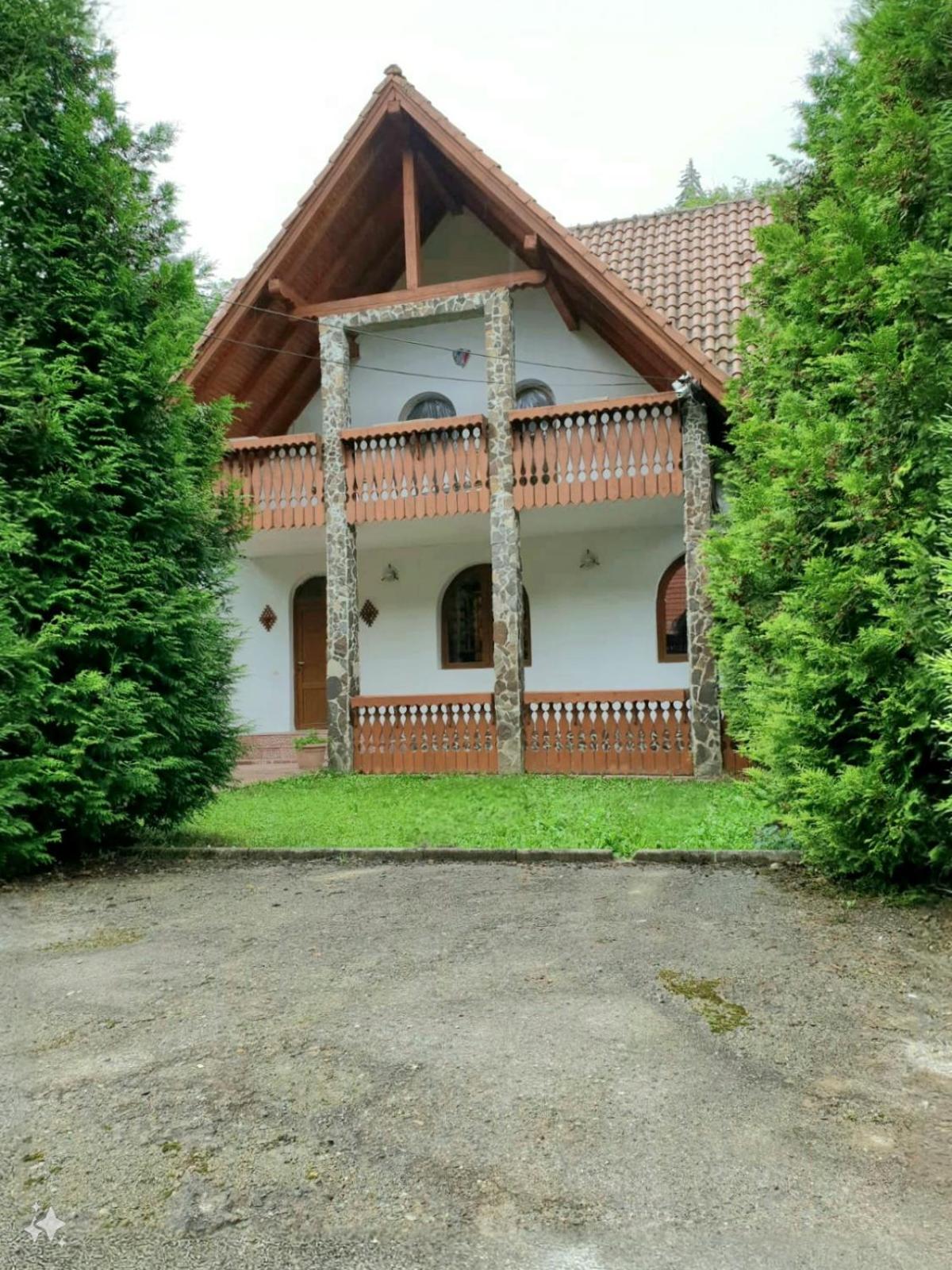 Vila Luca'S Cârțișoara Exterior photo